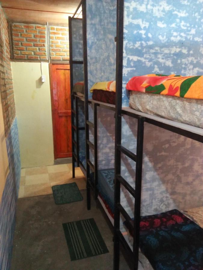 Salty Dog Hostel Telukdalem Esterno foto