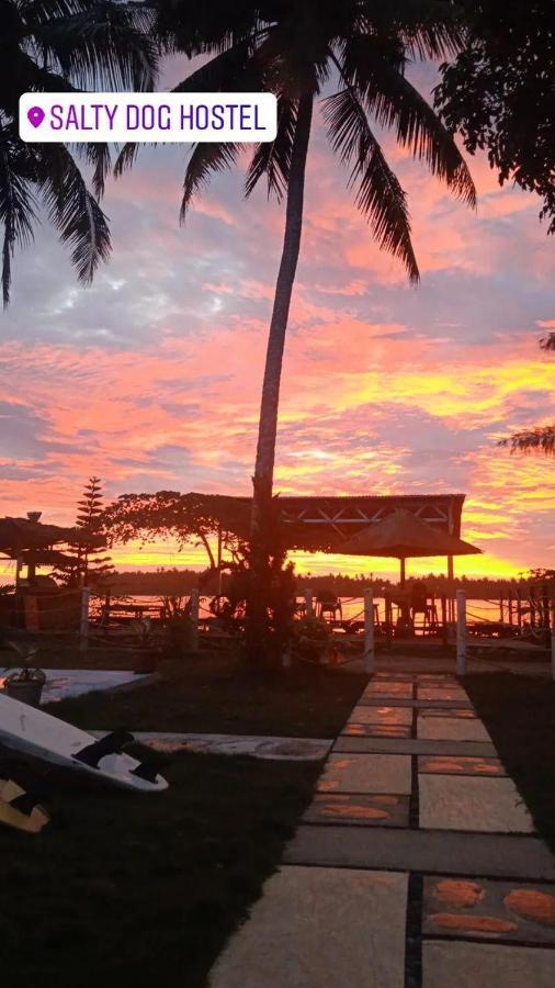 Salty Dog Hostel Telukdalem Esterno foto