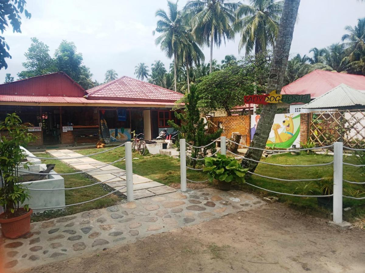 Salty Dog Hostel Telukdalem Esterno foto